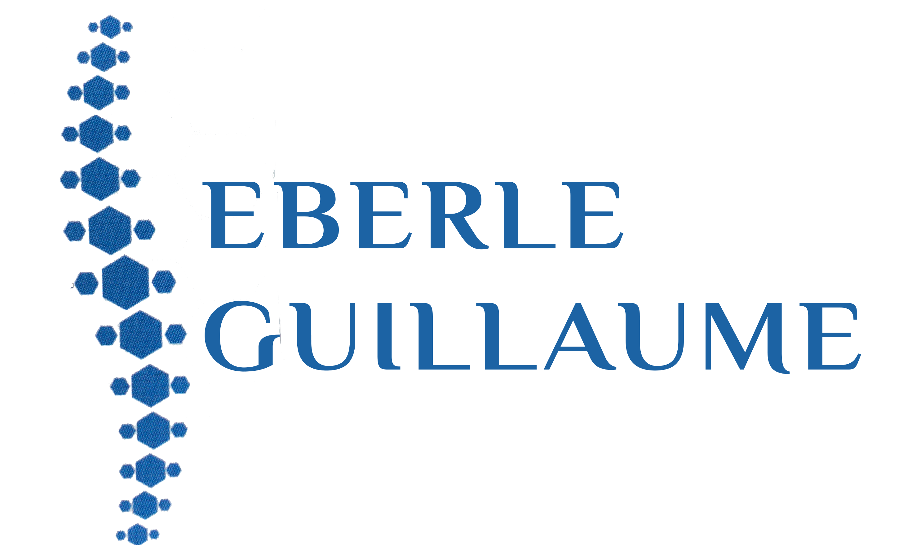 EBERLE Guillaume
